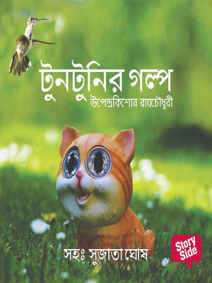 cover image of Tuntunir Boi